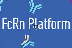 FcRn Model Platforms